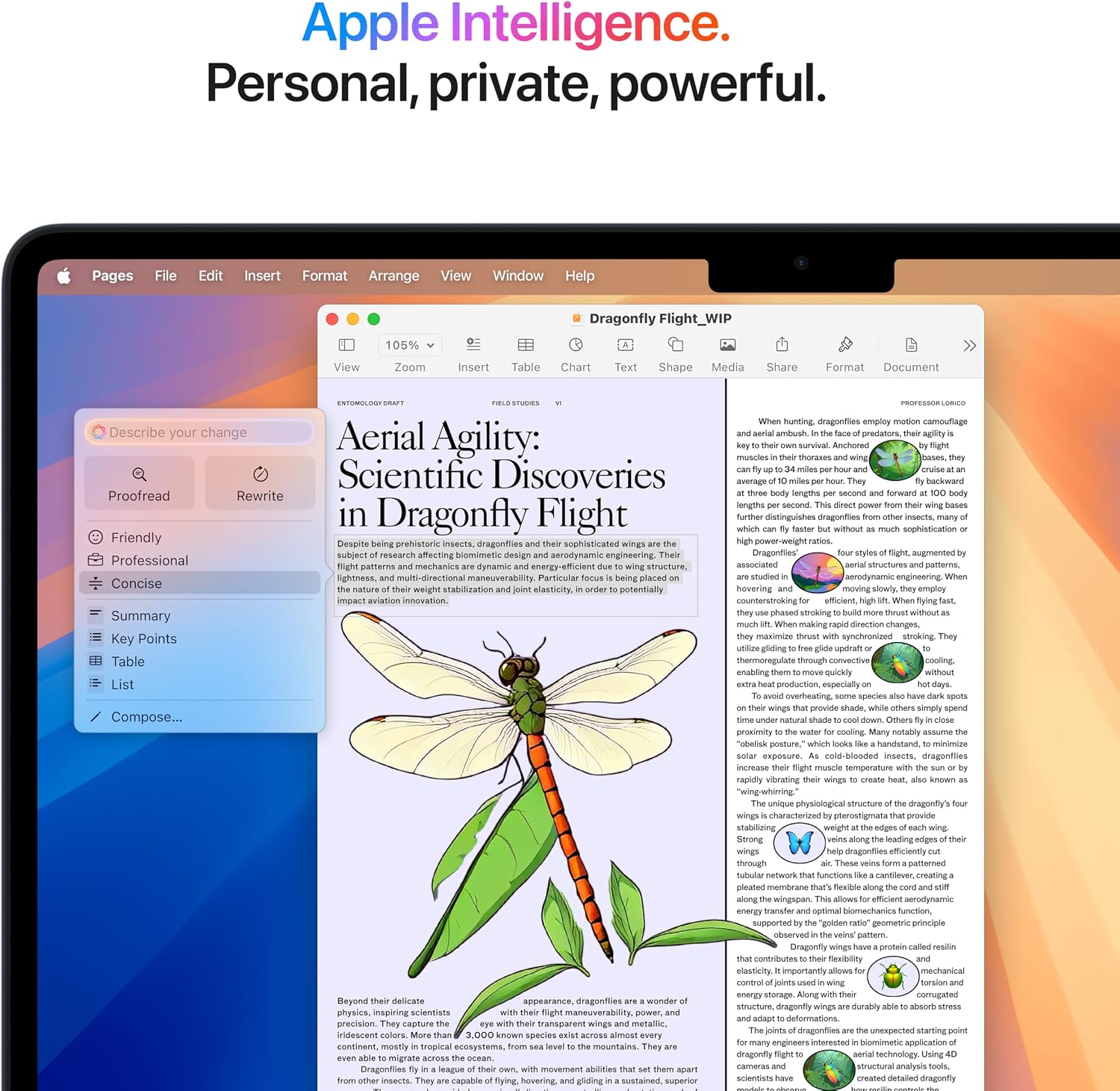 2025 MacBook Air 13-inch Laptop with M4 chip: Built for  Intelligence, 13.6-inch Liquid Retina Display, 16GB Unified Memory, 256GB SSD Storage, 12MP Center Stage Camera, Touch ID; Midnight